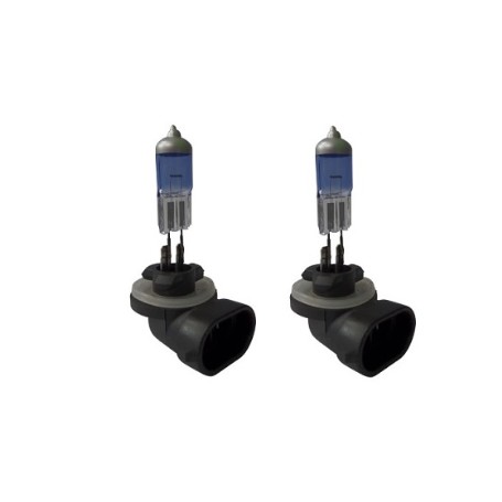 ESTUCHE 2UNDS H27W/881.