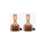 KIT DE LED PARA D1S/R (PAREJA) LUZIA SERIE DENON.